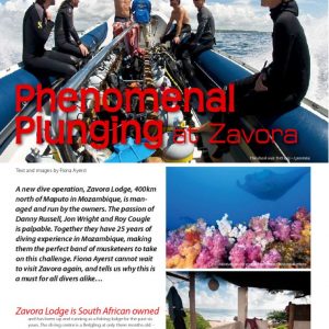 38-41.pdf – Adobe Acrobat Professional thumbnail of 38-41.pdf – Adobe Acrobat Professional