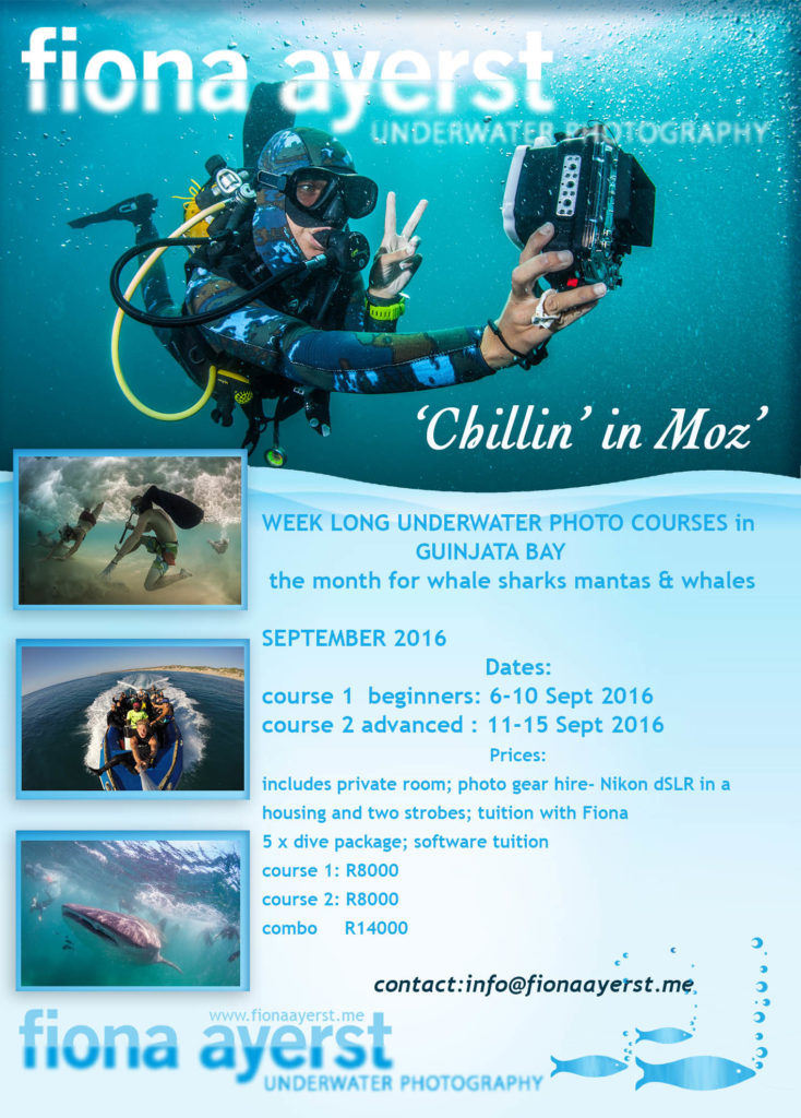 join Fiona and her team in Mozambique this September and learn something you can enjoy for the rest of your life