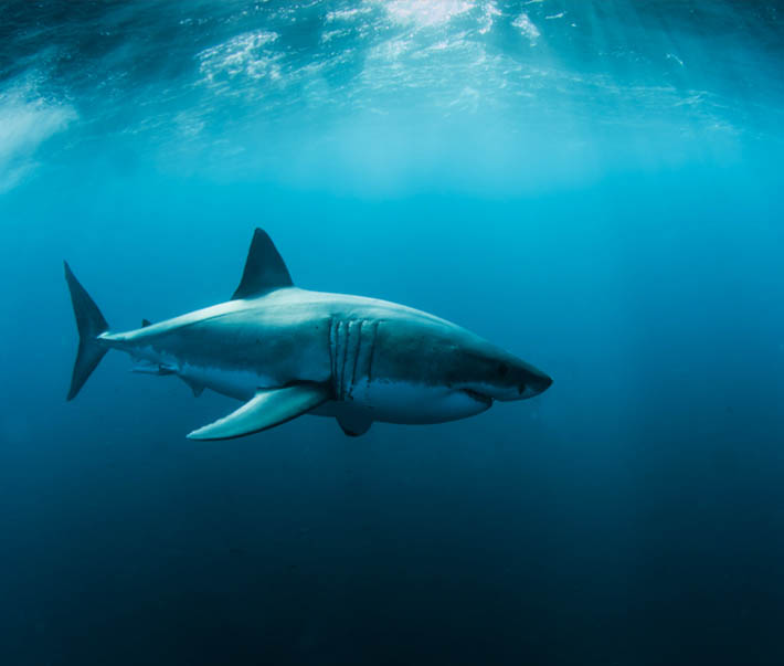 Underwater